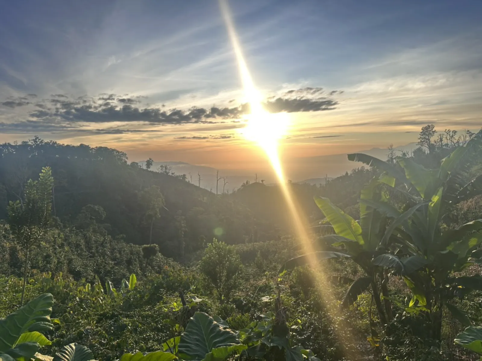 Sonnenaufgang am Argopuro