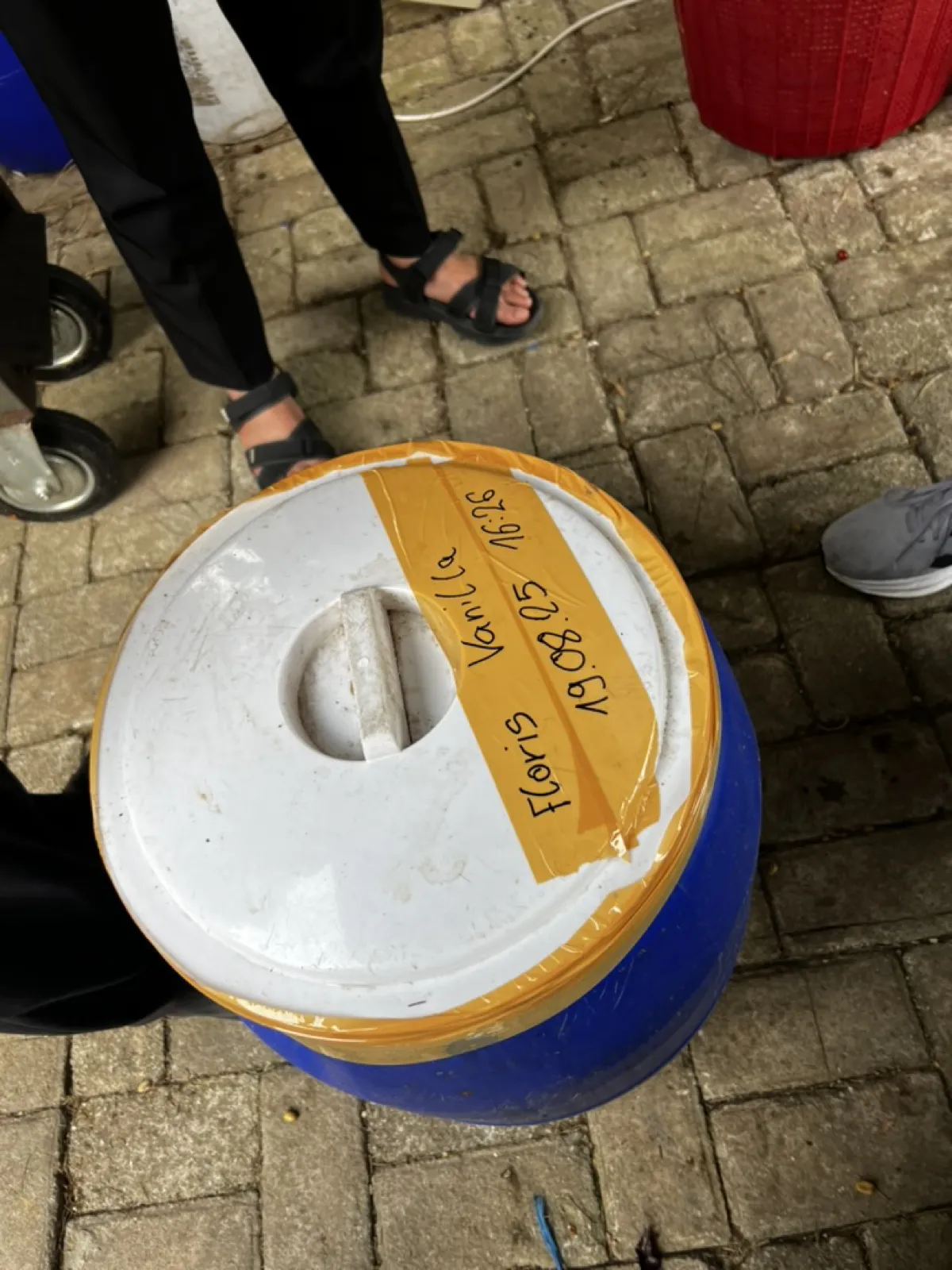 Selbst angesetzter Co-Ferment