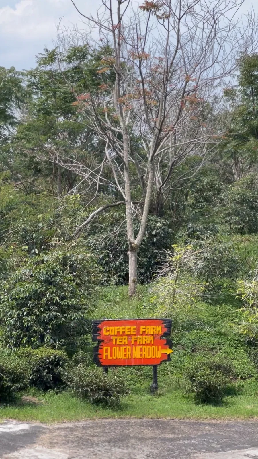 Simalem Farmschild